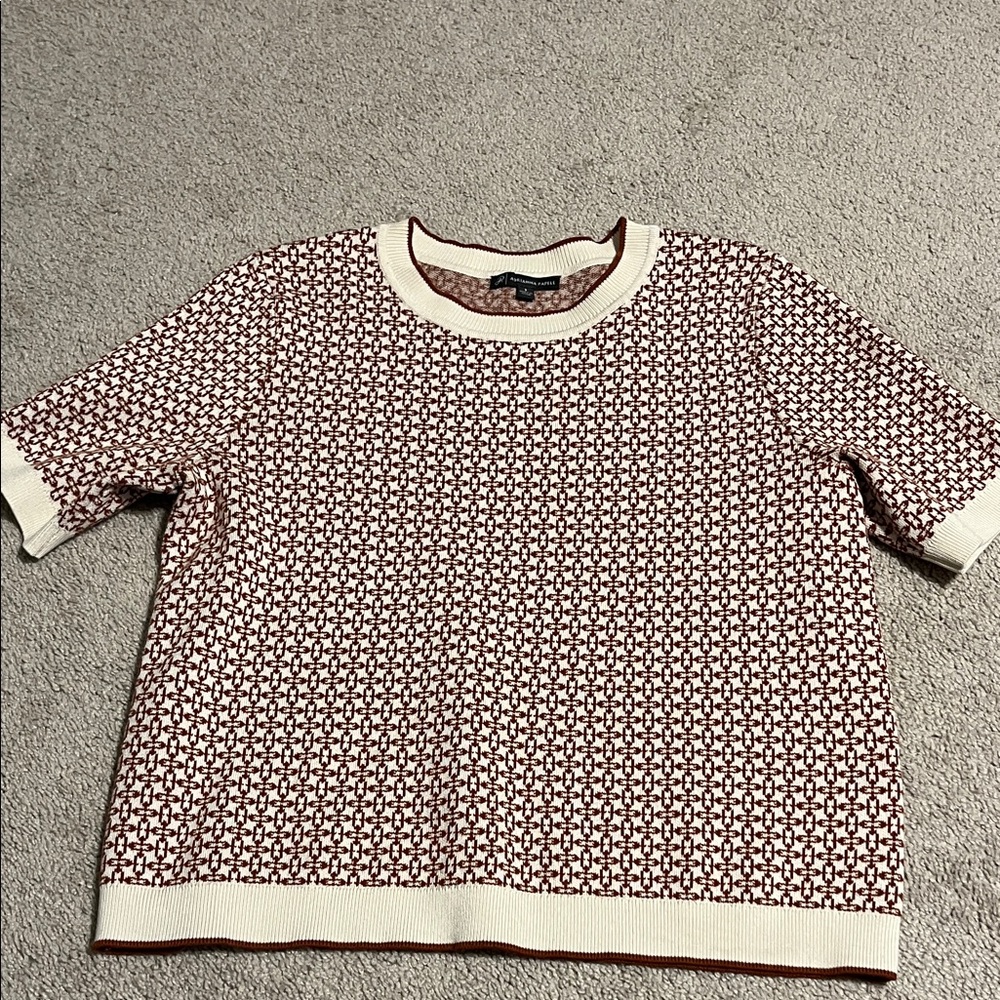 Adrianna Papell Cream and Brown Crewneck Sweater
